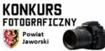 grafika